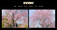 Desktop Screenshot of evisu.jp